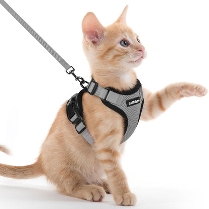 Adjustable Cat Harness & Lead Set for Walking