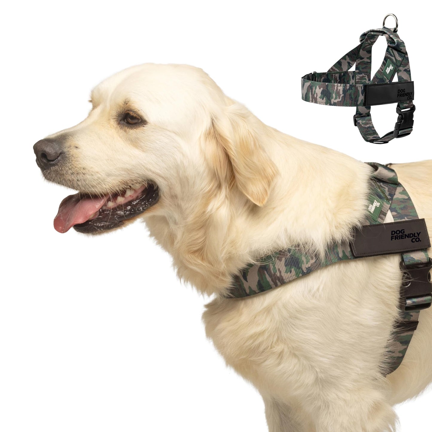 Adjustable Everyday Dog Harness for Walking