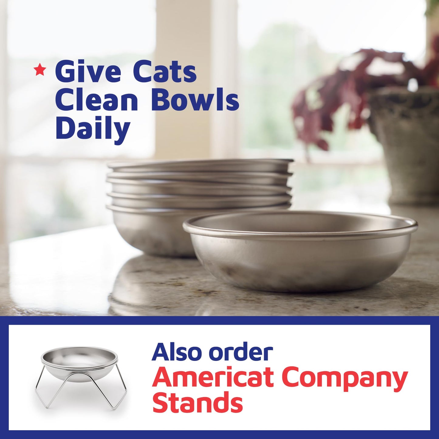 Stainless Steel Pet Bowls for Food and Water Set