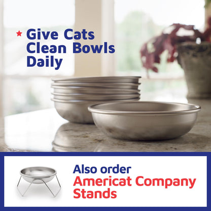 Stainless Steel Pet Bowls for Food and Water Set