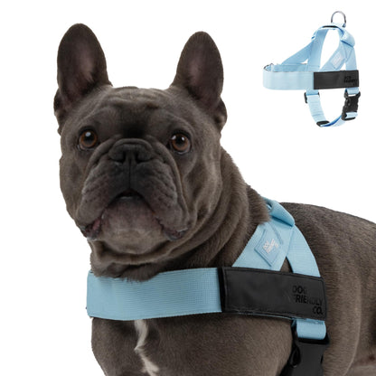 Adjustable Everyday Dog Harness for Walking