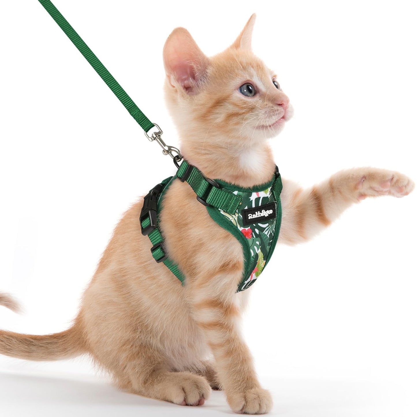 Adjustable Cat Harness & Lead Set for Walking