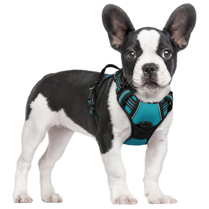 No-Pull Reflective Dog Harness with Control Handle