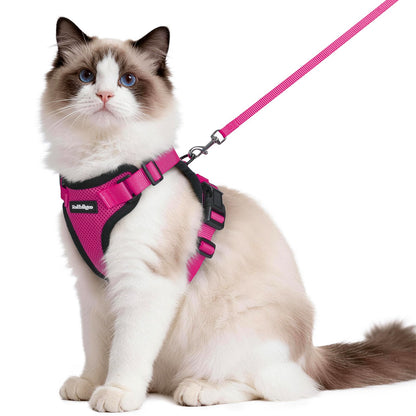 Adjustable Cat Harness & Lead Set for Walking