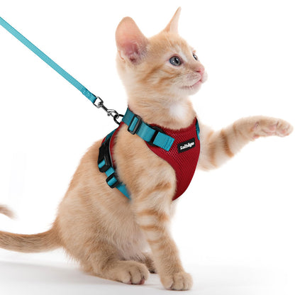 Adjustable Cat Harness & Lead Set for Walking