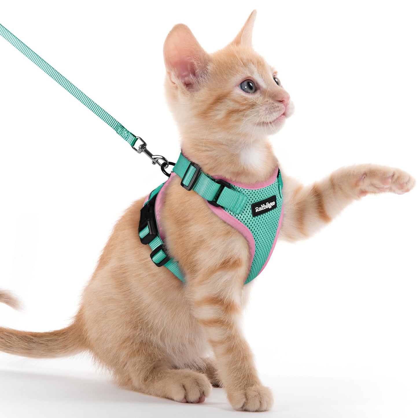 Adjustable Cat Harness & Lead Set for Walking