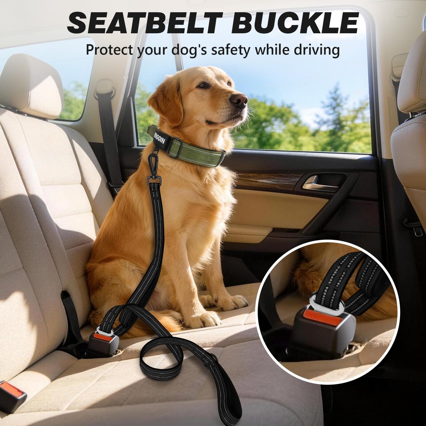 Heavy Duty Reflective Dog Leash with Dual Handles