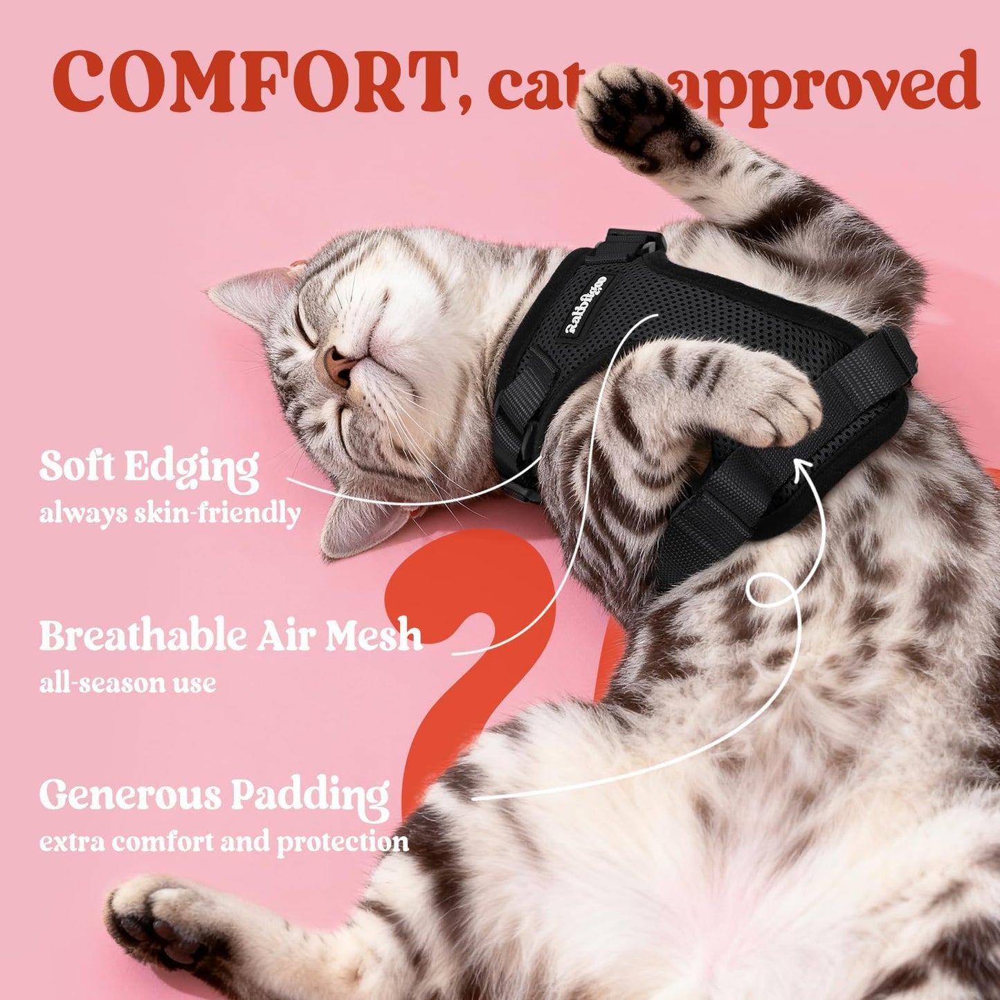 Adjustable Cat Harness & Lead Set for Walking