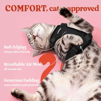 Adjustable Cat Harness & Lead Set for Walking