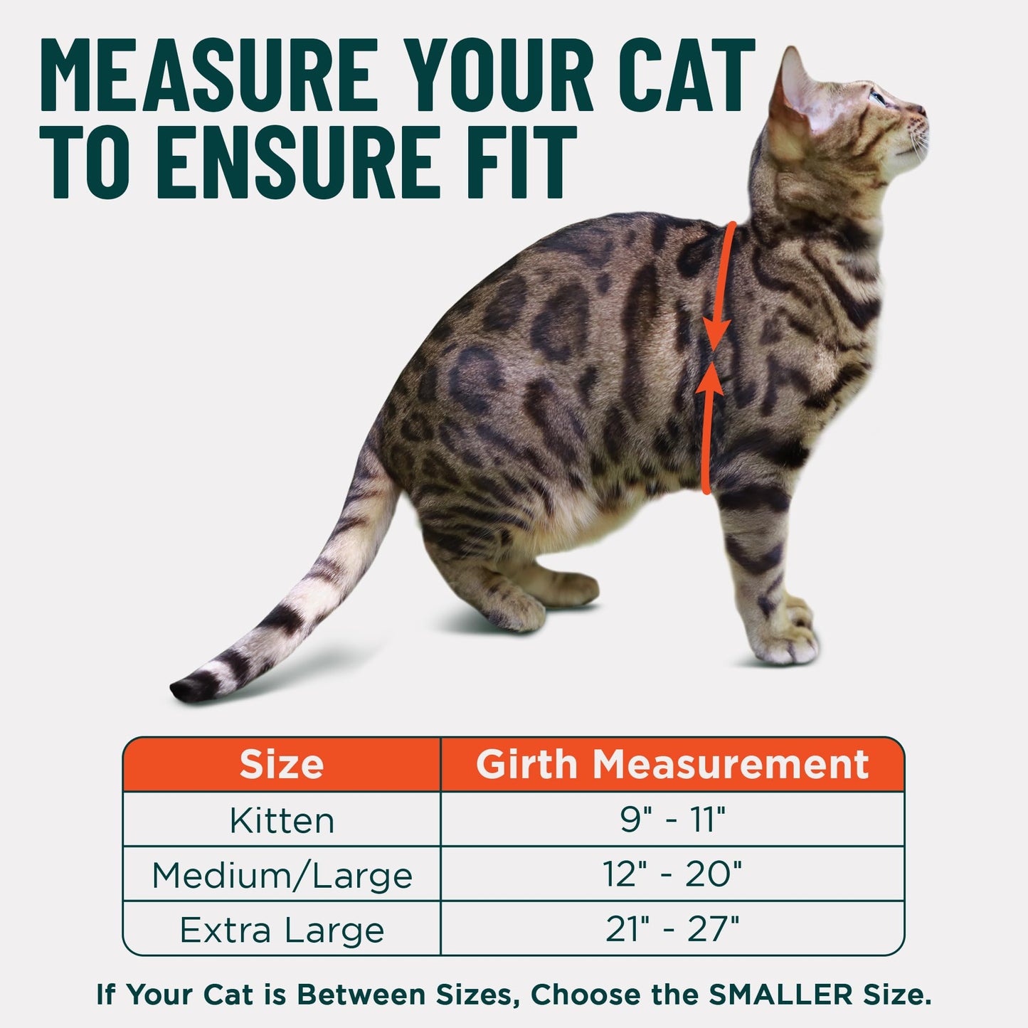 Escape-Proof Cat Harness & Leash Set for Cats