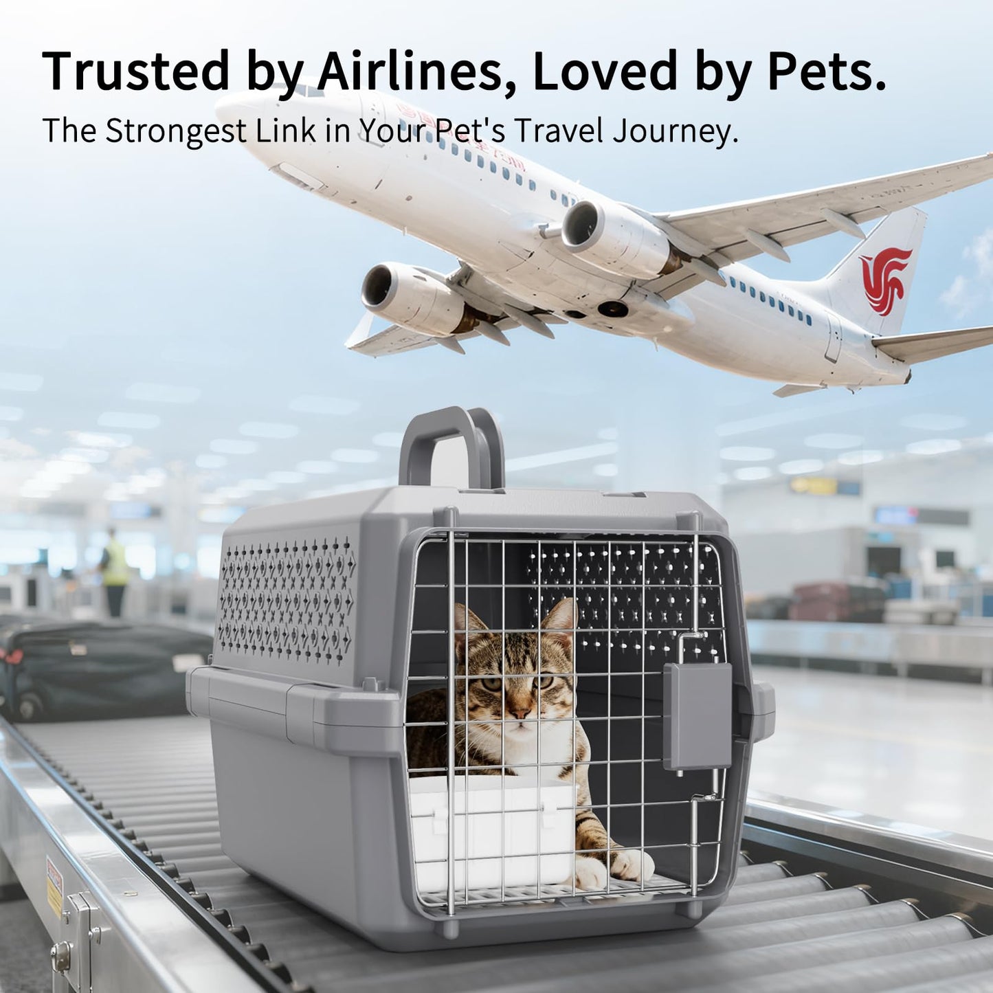 Rolling Hard-Sided Pet Carrier with Wheels
