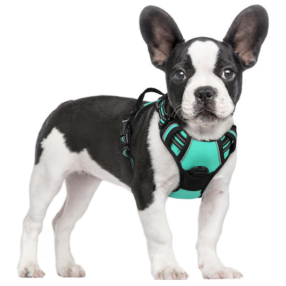 No-Pull Reflective Dog Harness with Control Handle