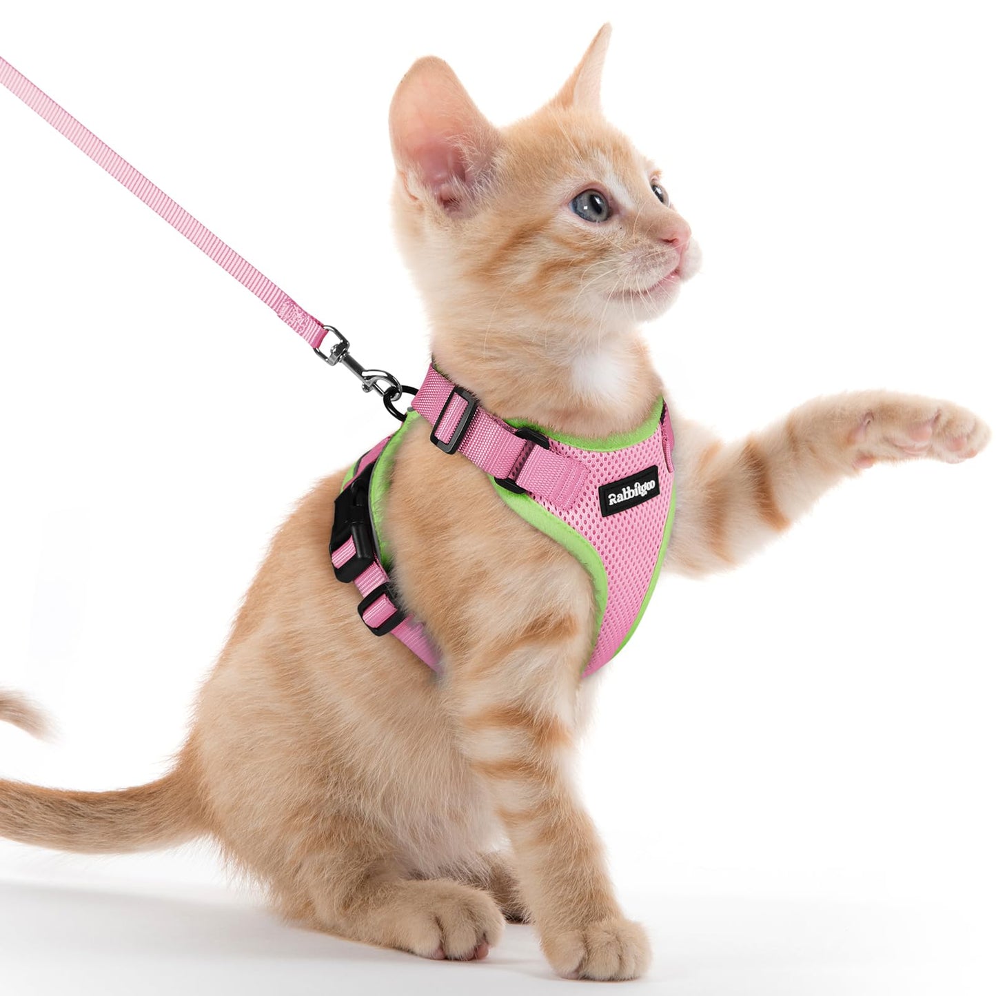 Adjustable Cat Harness & Lead Set for Walking