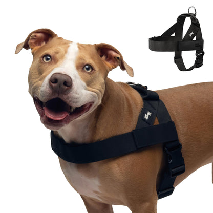 Adjustable Everyday Dog Harness for Walking