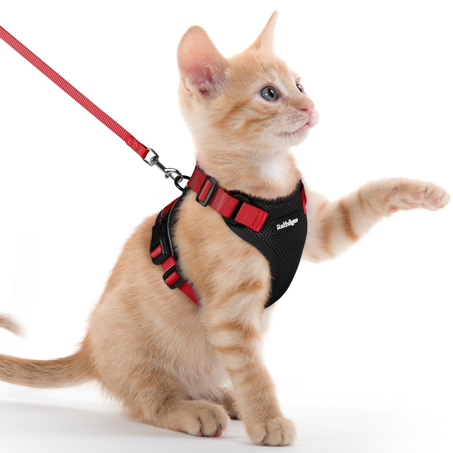Adjustable Cat Harness & Lead Set for Walking