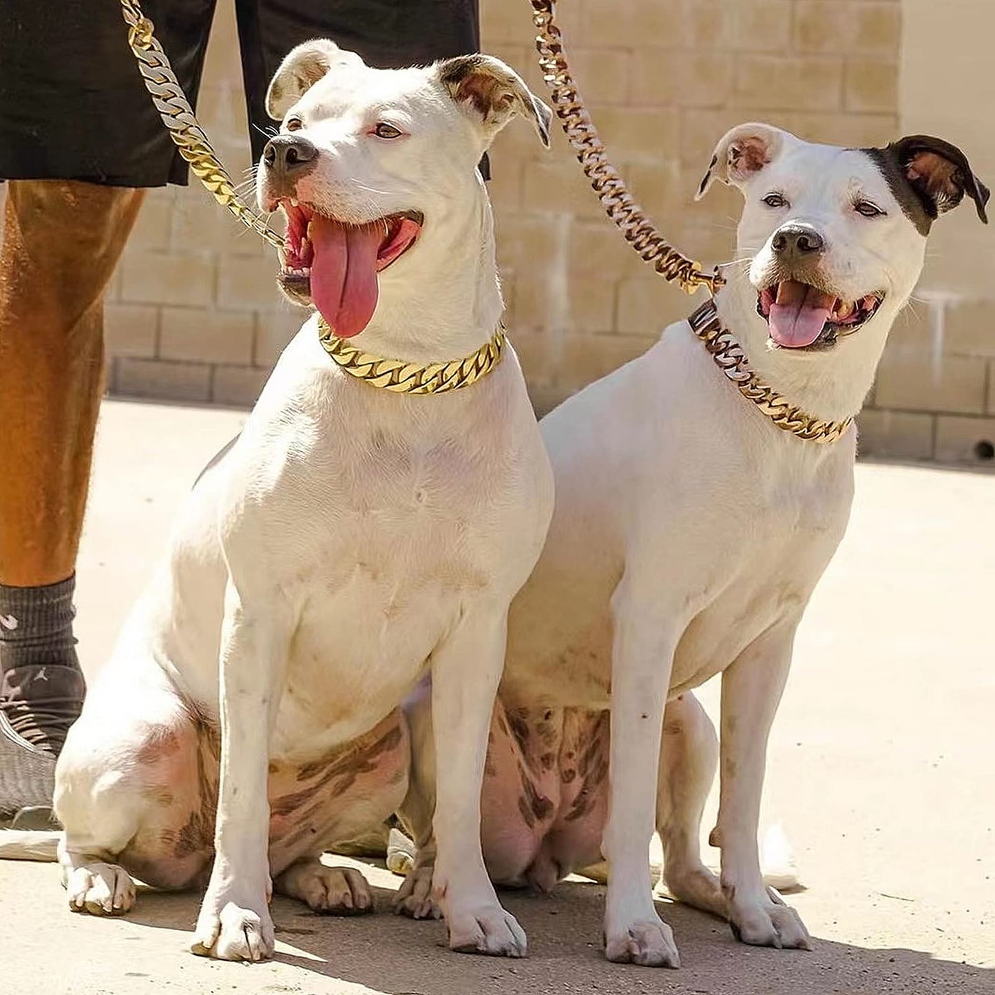 Heavy Duty Metal Dog Chain Leash with Leather Handle