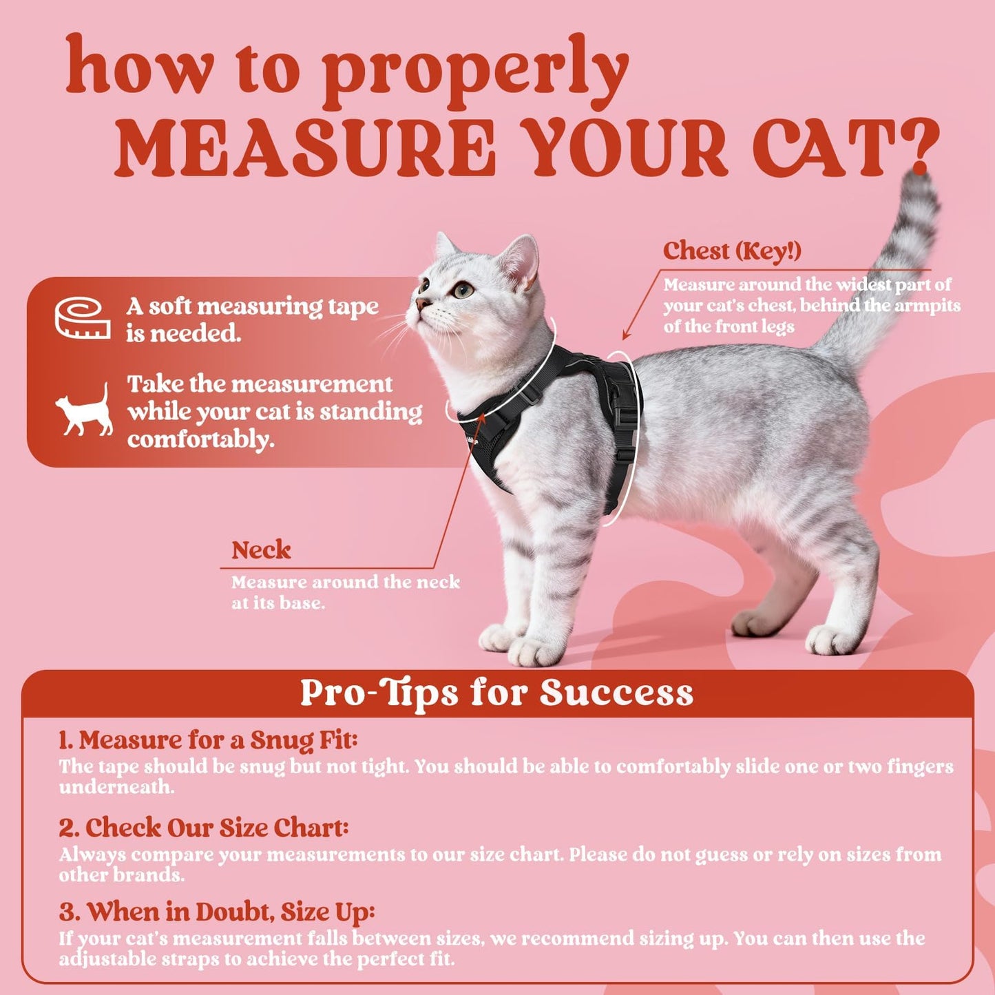 Adjustable Cat Harness & Lead Set for Walking