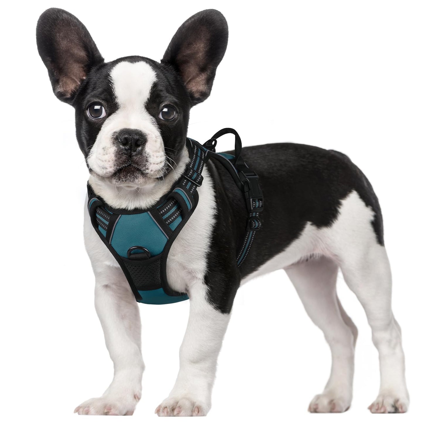 No-Pull Reflective Dog Harness with Control Handle