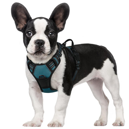 No-Pull Reflective Dog Harness with Control Handle