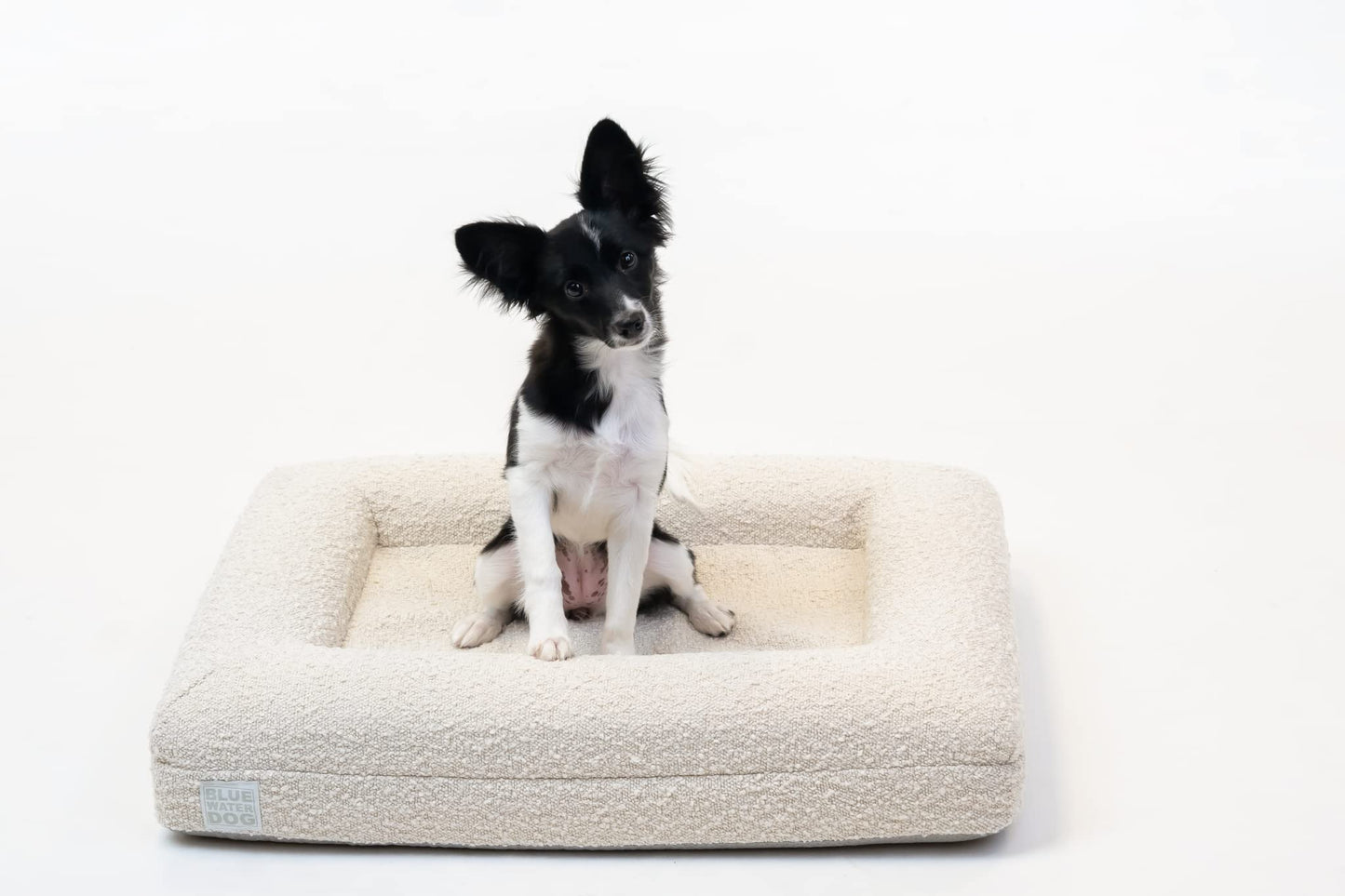 Orthopedic Memory Foam Pet Bed with Washable Cover