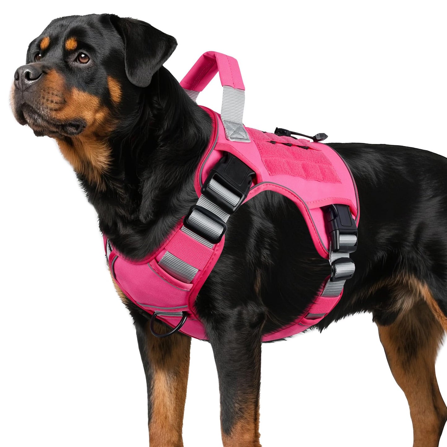 Heavy Duty Tactical Dog Harness with Handle