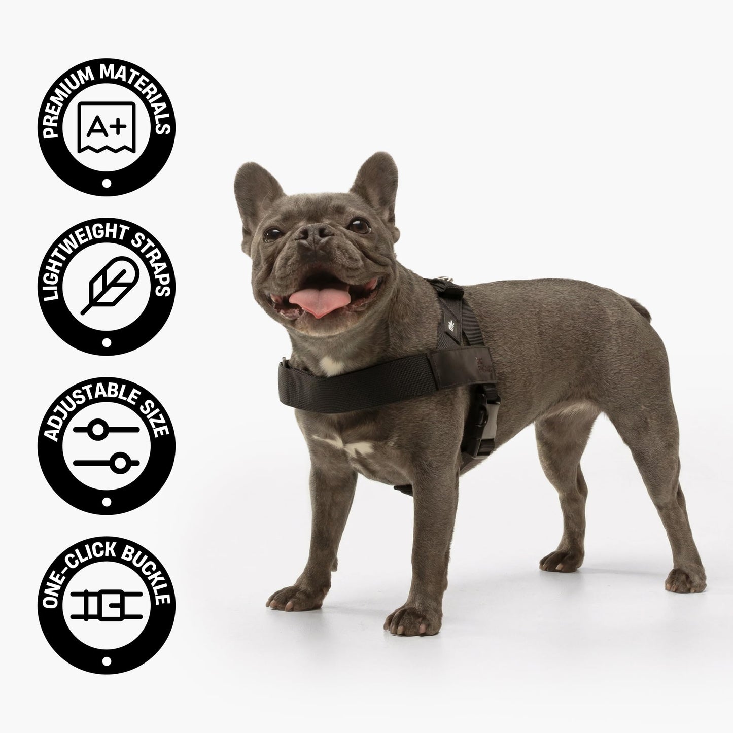 Adjustable Everyday Dog Harness for Walking