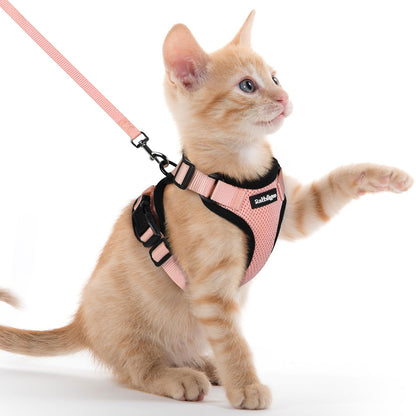 Adjustable Cat Harness & Lead Set for Walking