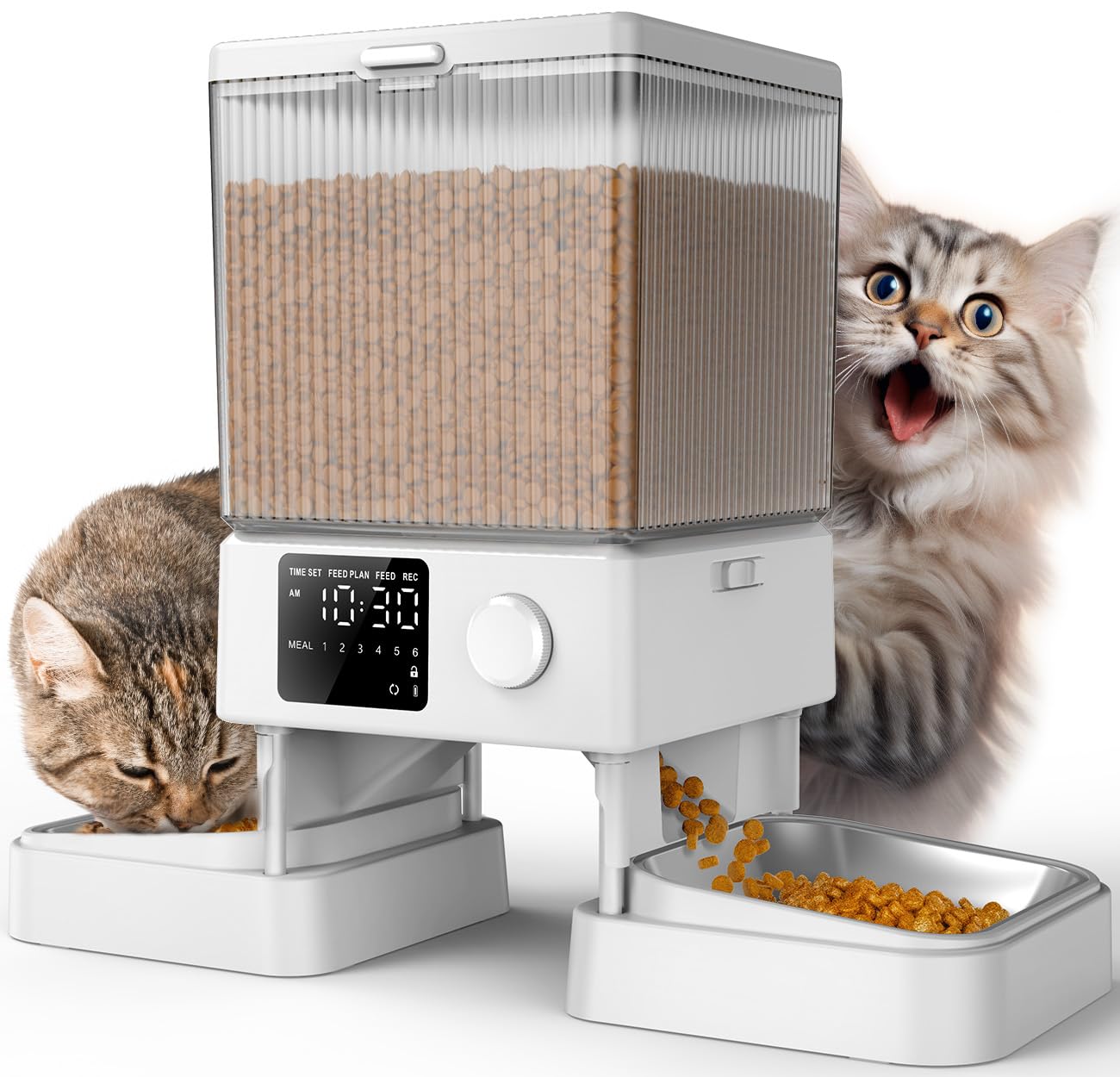 5L Automatic Pet Feeder with Dual Bowls for Pets