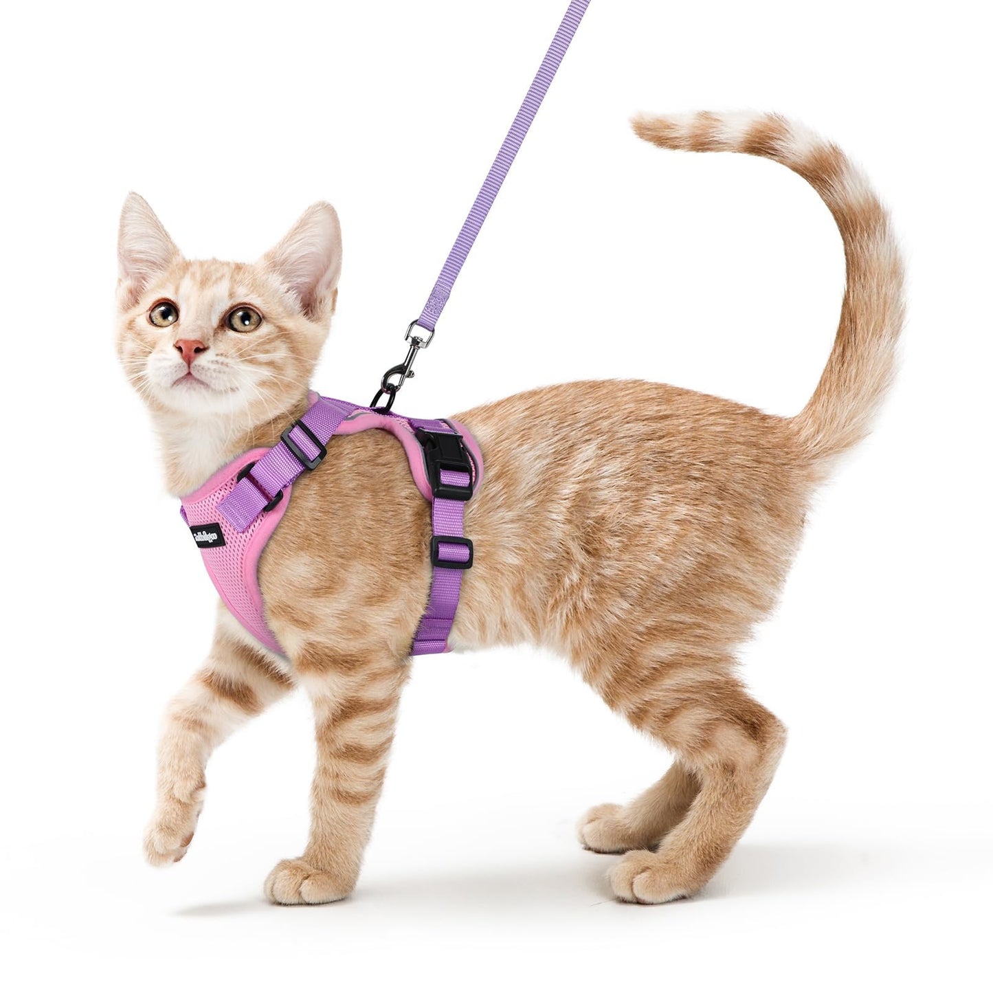 Adjustable Cat Harness & Lead Set for Walking