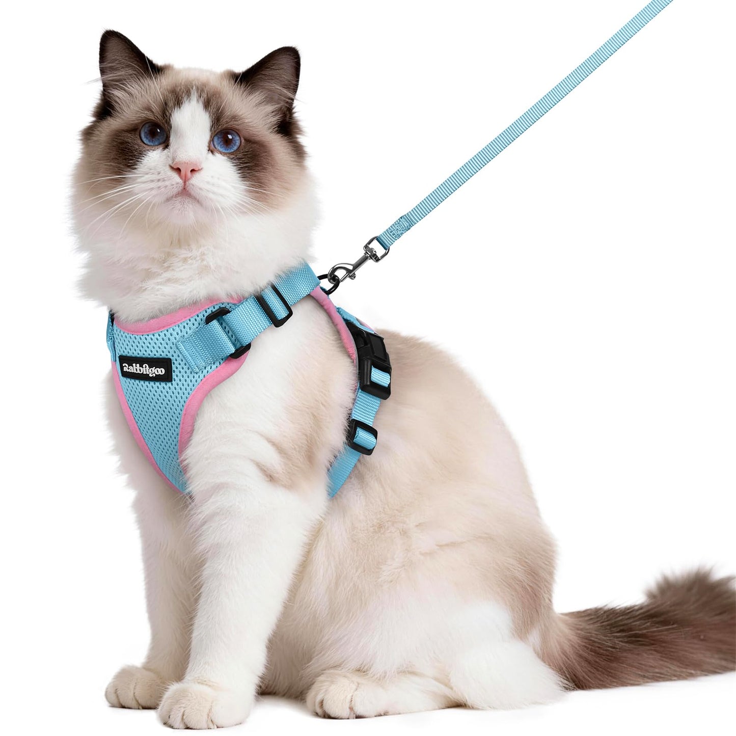 Adjustable Cat Harness & Lead Set for Walking