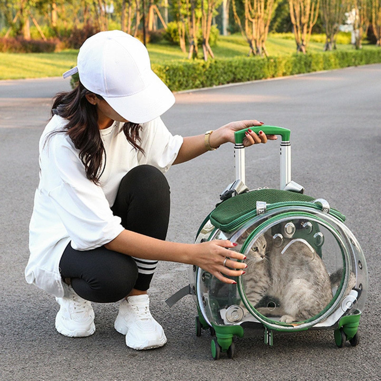 Wheeled Bubble Pet Carrier Backpack for Travel