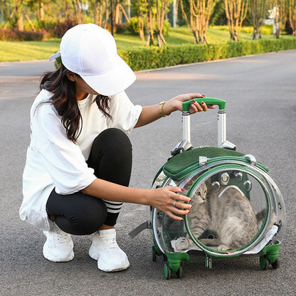 Wheeled Bubble Pet Carrier Backpack for Travel