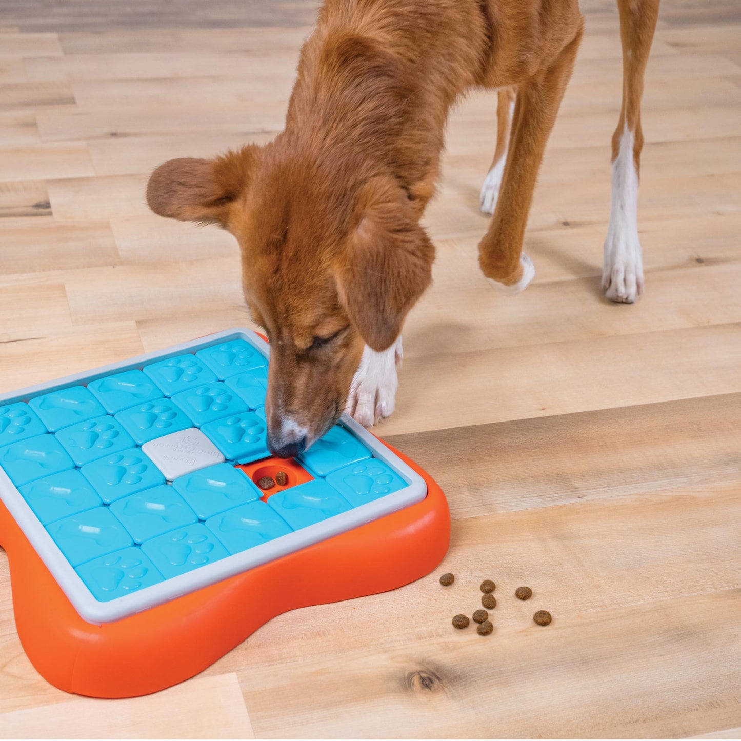 Interactive Treat Puzzle Toy for Mental Enrichment