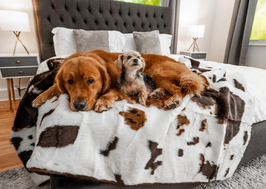 Waterproof Faux Fur Pet Blanket for Furniture Cover