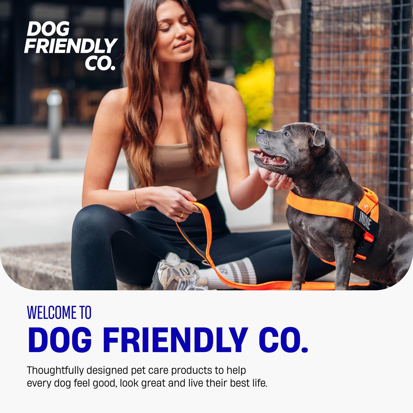 Adjustable Everyday Dog Harness for Walking