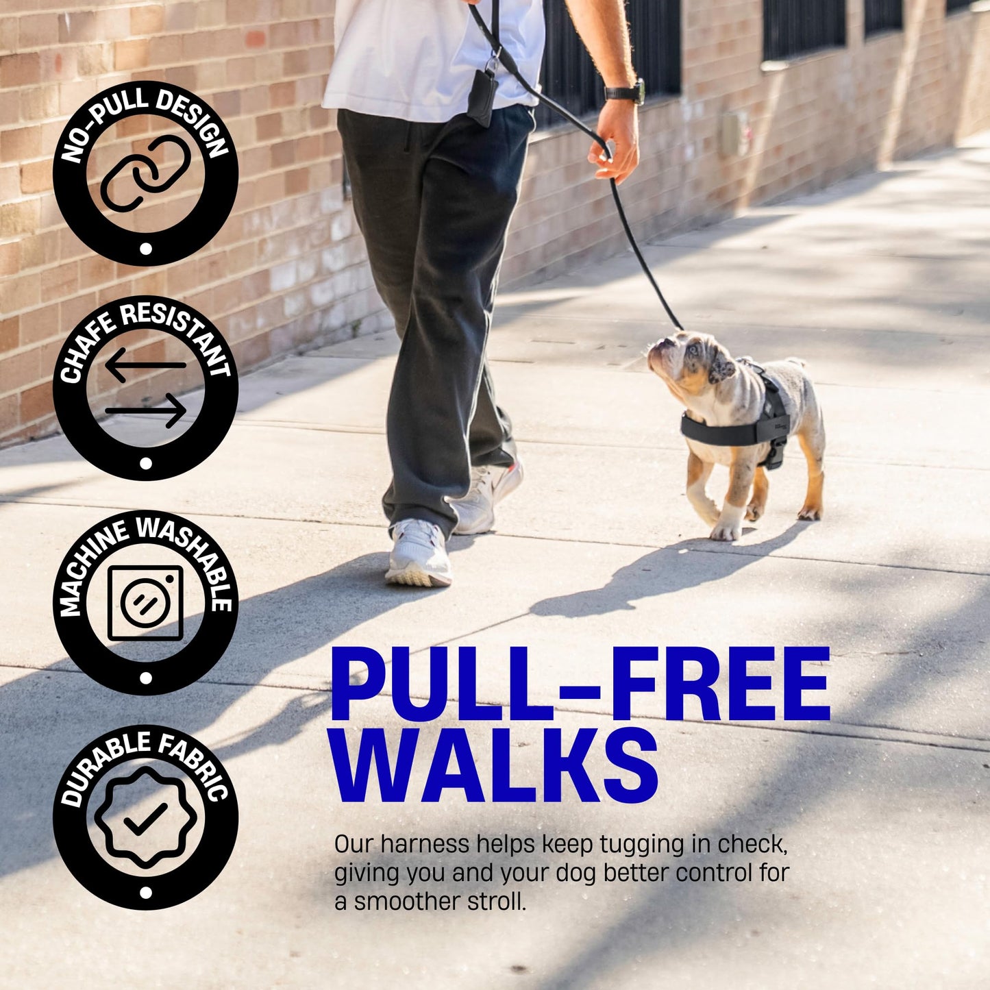 Adjustable Everyday Dog Harness for Walking