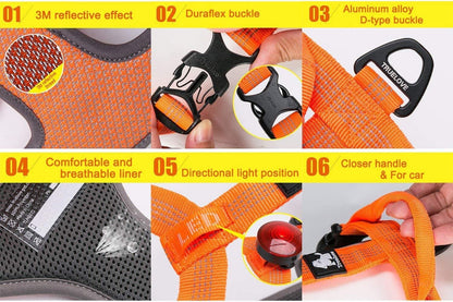 Reflective Padded Dog Harness for Walking & Hiking