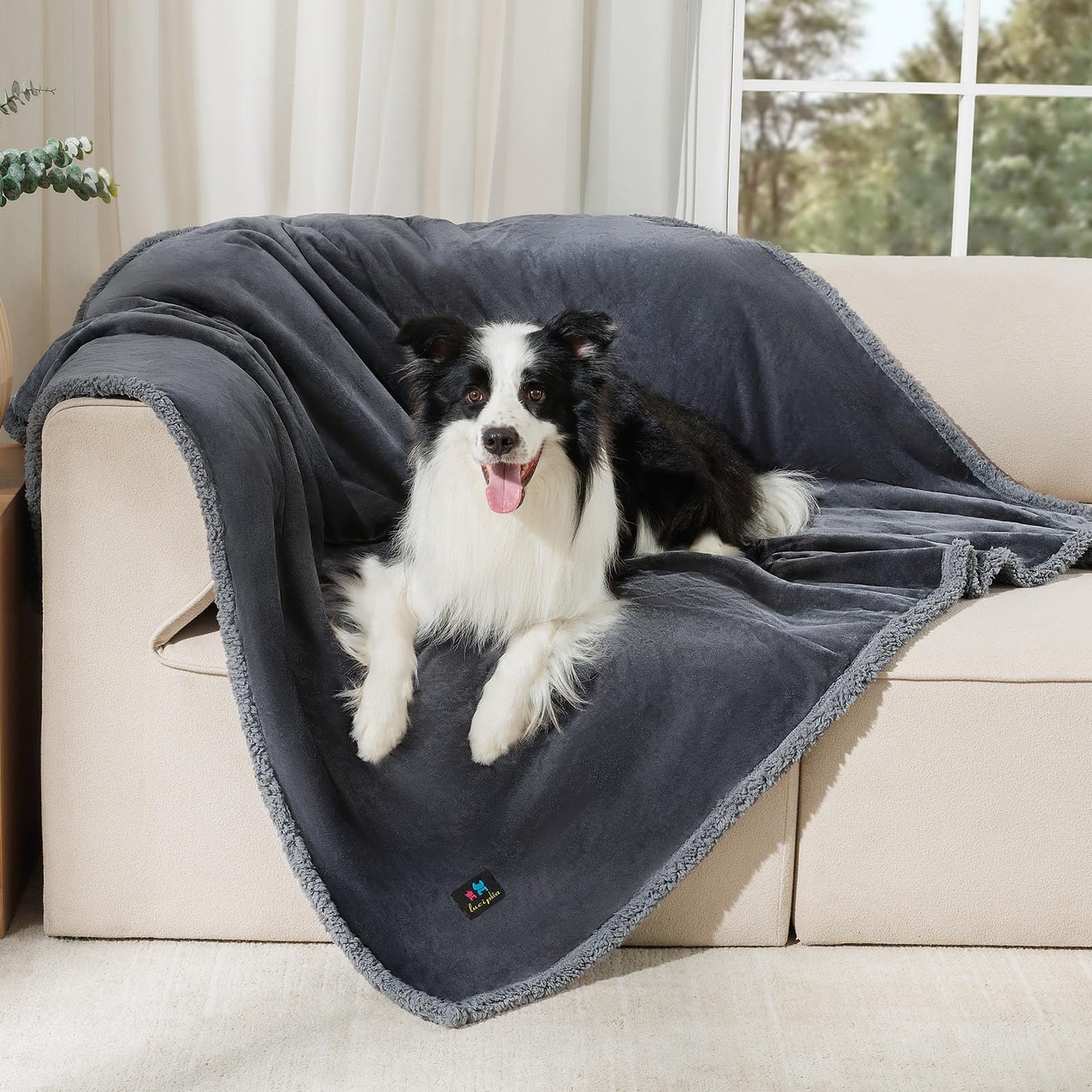 Reversible Waterproof Pet Blanket for Furniture