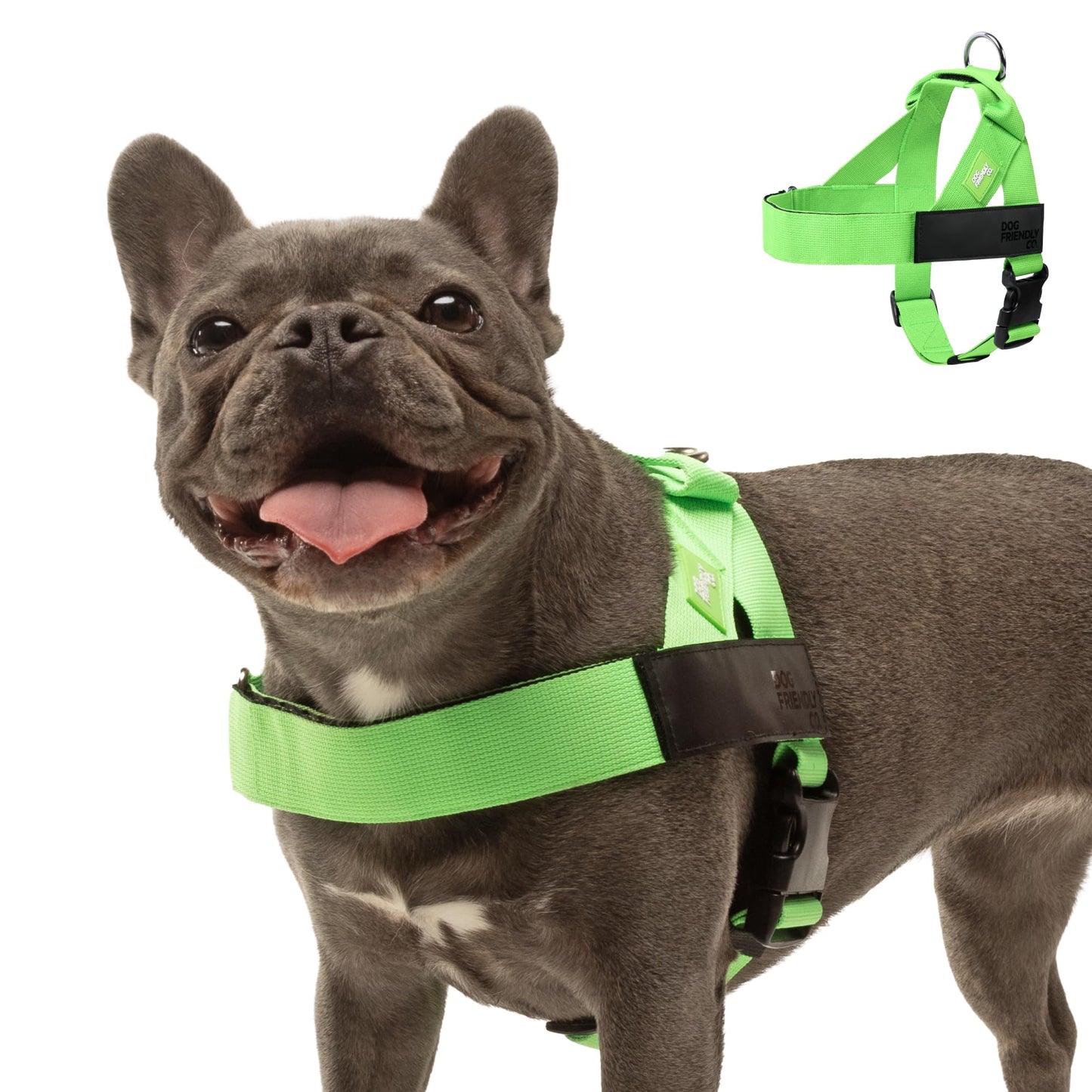 Adjustable Everyday Dog Harness for Walking