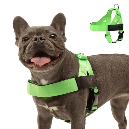 Adjustable Everyday Dog Harness for Walking