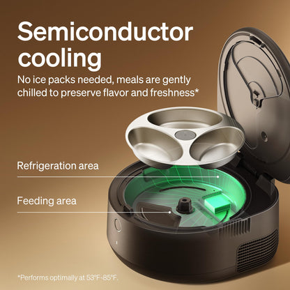 Automatic Refrigerated Pet Feeder with Cooling