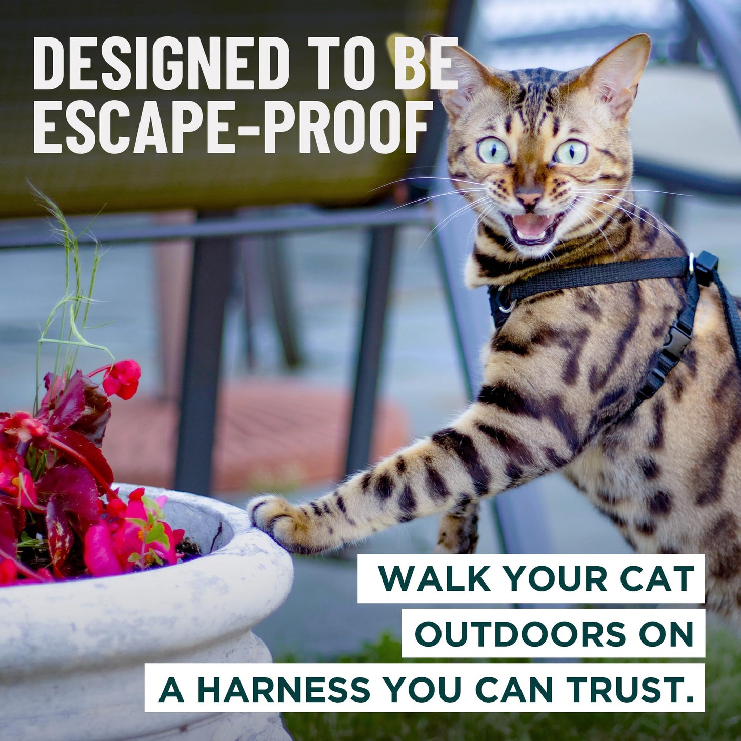 Escape-Proof Cat Harness & Leash Set for Cats