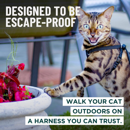 Escape-Proof Cat Harness & Leash Set for Cats