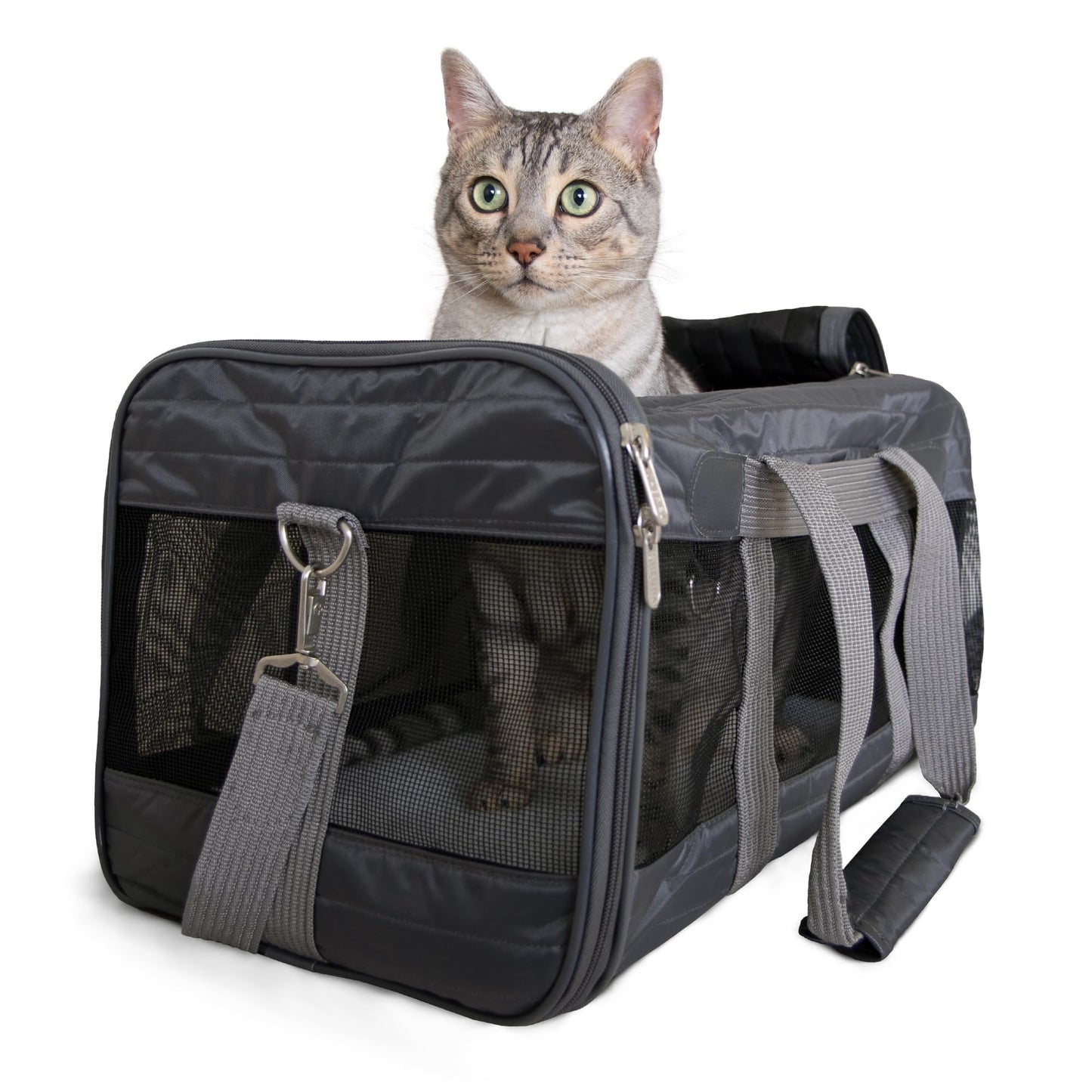 Airline-Approved Soft Pet Travel Carrier