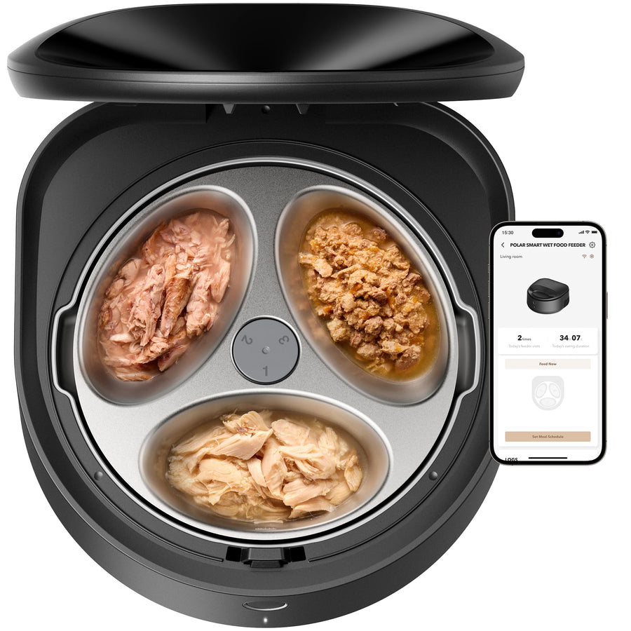 Automatic Refrigerated Pet Feeder with Cooling
