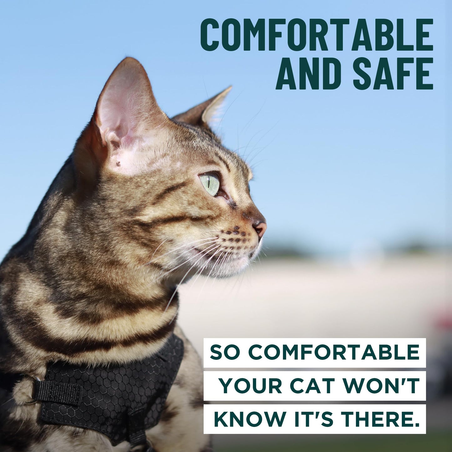 Escape-Proof Cat Harness & Leash Set for Cats