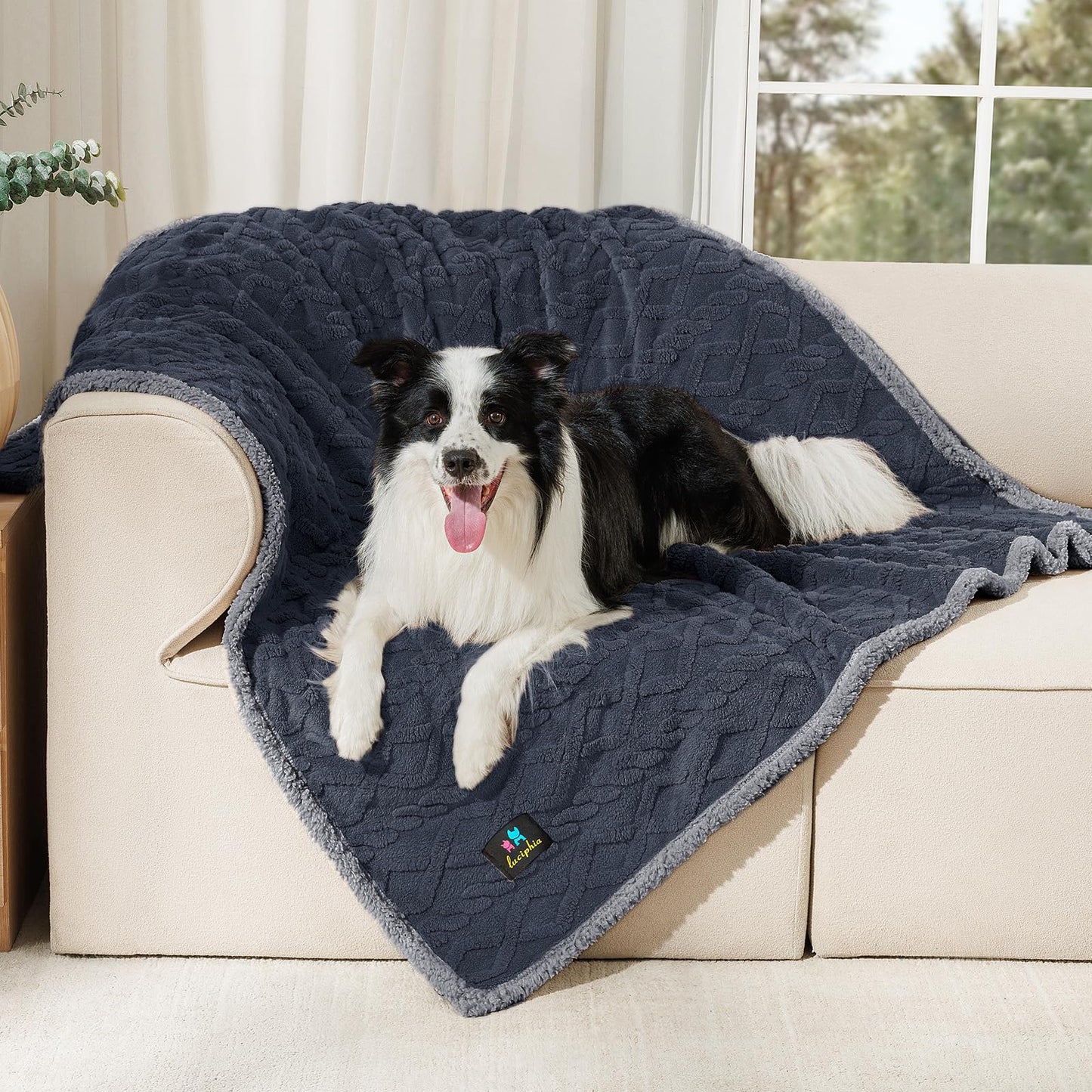Waterproof Sherpa Pet Blanket for Furniture Protection