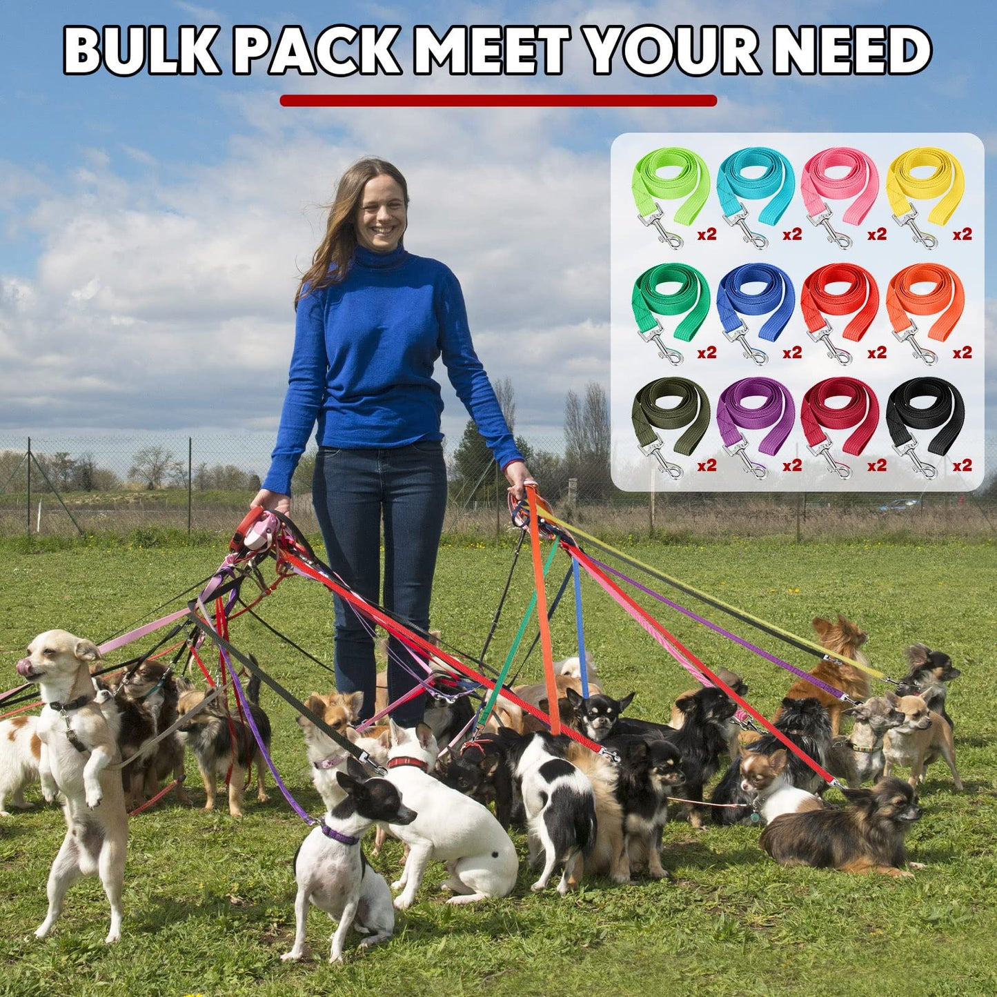 24-Pack Nylon Dog Training Leashes Assorted Colors