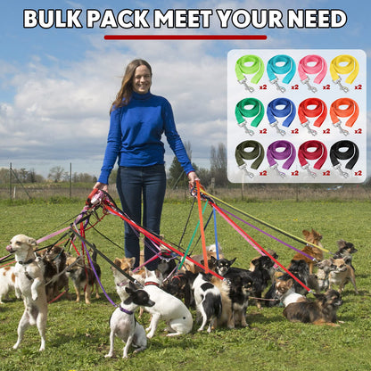 24-Pack Nylon Dog Training Leashes Assorted Colors