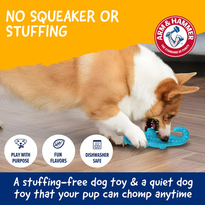 Arm & Hammer FFP8433 Nubbies Dental Toys, Blue